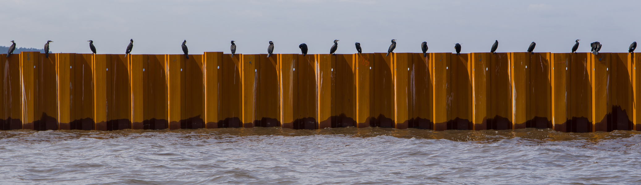 Watertightness of sheet piles