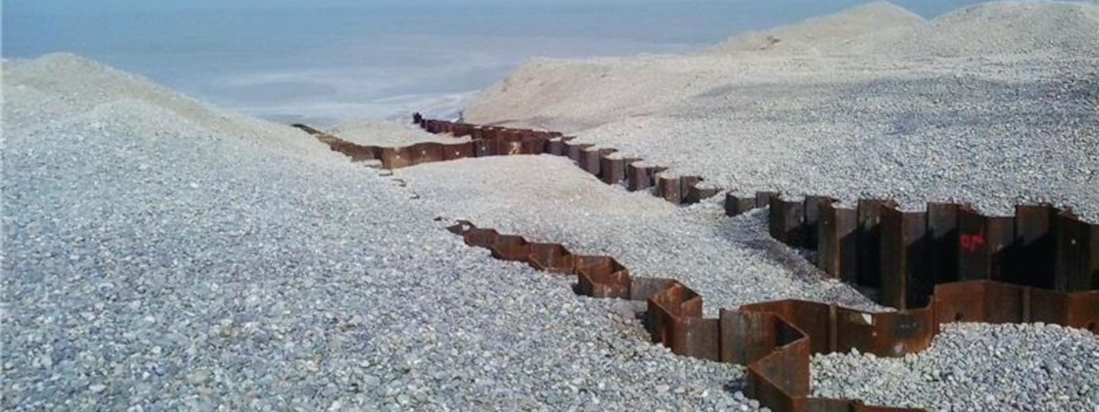 Coastal dunes